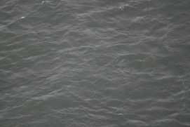 Missing Picture